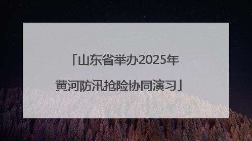 山东省举办2025年黄河防汛抢险协同演习