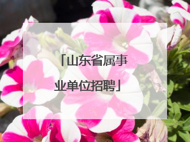 山东省属事业单位招聘
