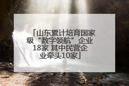 山东累计培育国家级“数字领航”企业18家 其中民营企业牵头10家