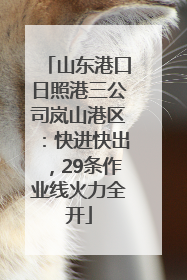 山东港口日照港三公司岚山港区：快进快出，29条作业线火力全开
