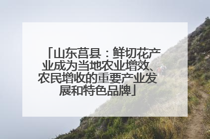 山东莒县：鲜切花产业成为当地农业增效、农民增收的重要产业发展和特色品牌