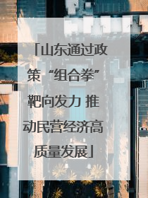 山东通过政策“组合拳”靶向发力 推动民营经济高质量发展