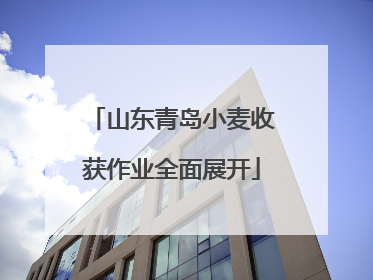 山东青岛小麦收获作业全面展开