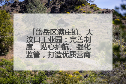 岱岳区满庄镇、大汶口工业园：完善制度、贴心护航、强化监管，打造优质营商“强磁场”