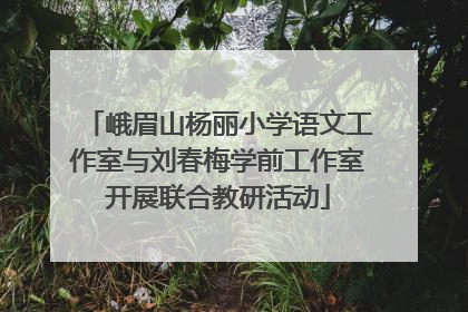 峨眉山杨丽小学语文工作室与刘春梅学前工作室开展联合教研活动
