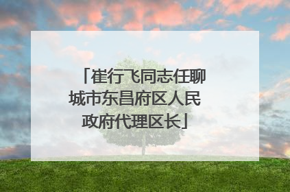 崔行飞同志任聊城市东昌府区人民政府代理区长