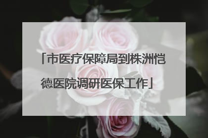 市医疗保障局到株洲恺德医院调研医保工作