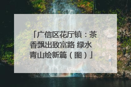 广信区花厅镇：茶香飘出致富路 绿水青山绘新篇（图）