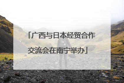 广西与日本经贸合作交流会在南宁举办