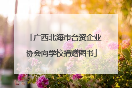 广西北海市台资企业协会向学校捐赠图书
