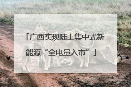 广西实现陆上集中式新能源“全电量入市”