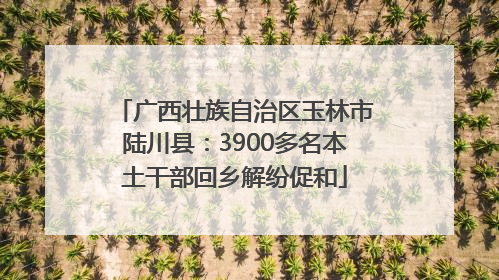 广西壮族自治区玉林市陆川县：3900多名本土干部回乡解纷促和