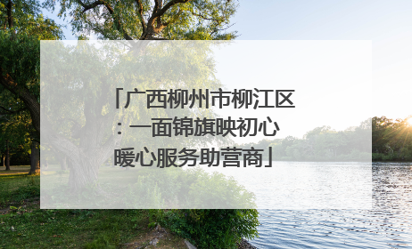 广西柳州市柳江区：一面锦旗映初心 暖心服务助营商