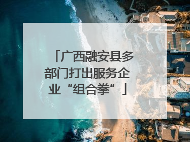 广西融安县多部门打出服务企业“组合拳”