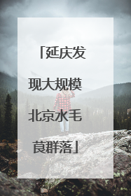 延庆发现大规模北京水毛茛群落