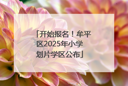 开始报名！牟平区2025年小学划片学区公布