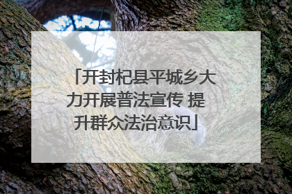 开封杞县平城乡大力开展普法宣传 提升群众法治意识