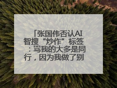 张国伟否认AI智搜“炒作”标签：骂我的大多是同行，因为我做了别人做不了的事