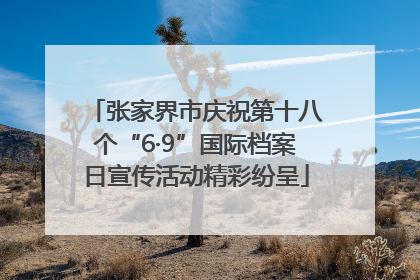 张家界市庆祝第十八个“6·9”国际档案日宣传活动精彩纷呈