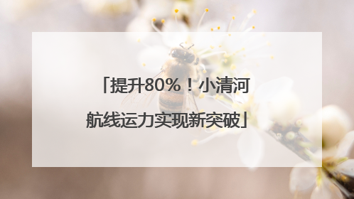 提升80％！小清河航线运力实现新突破