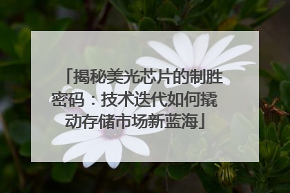 揭秘美光芯片的制胜密码：技术迭代如何撬动存储市场新蓝海