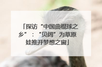 探访“中国曲棍球之乡”：“贝阔”为草原娃推开梦想之窗