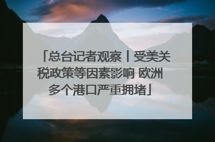总台记者观察丨受美关税政策等因素影响 欧洲多个港口严重拥堵