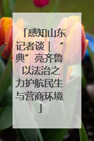 感知山东记者谈｜“典”亮齐鲁 以法治之力护航民生与营商环境