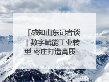 感知山东记者谈｜数字赋能工业转型 枣庄打造高质量发展新引擎