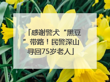 感谢警犬“黑豆”带路！民警深山寻回75岁老人