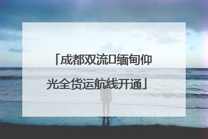 成都双流⇌缅甸仰光全货运航线开通