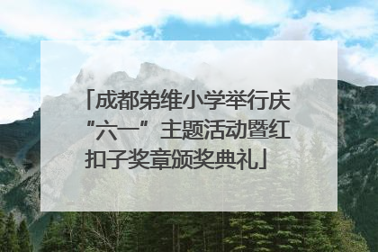 成都弟维小学举行庆“六一”主题活动暨红扣子奖章颁奖典礼