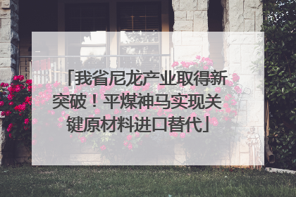 我省尼龙产业取得新突破！平煤神马实现关键原材料进口替代