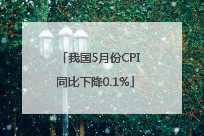 我国5月份CPI同比下降0.1%