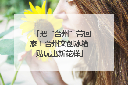 把“台州”带回家！台州文创冰箱贴玩出新花样
