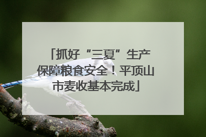 抓好“三夏”生产 保障粮食安全！平顶山市麦收基本完成