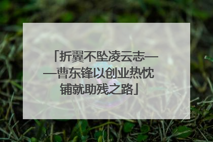 折翼不坠凌云志——曹东锋以创业热忱铺就助残之路