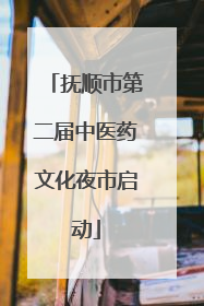 抚顺市第二届中医药文化夜市启动