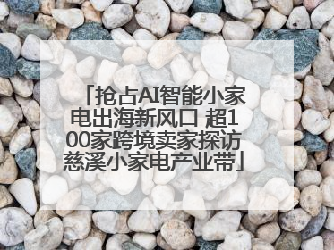 抢占AI智能小家电出海新风口 超100家跨境卖家探访慈溪小家电产业带