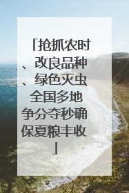 抢抓农时、改良品种、绿色灭虫 全国多地争分夺秒确保夏粮丰收