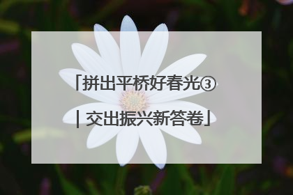 拼出平桥好春光③｜交出振兴新答卷