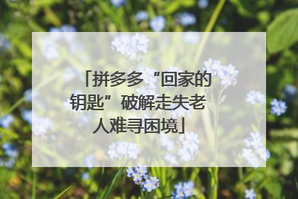 拼多多“回家的钥匙”破解走失老人难寻困境