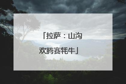 拉萨：山沟欢腾赛牦牛