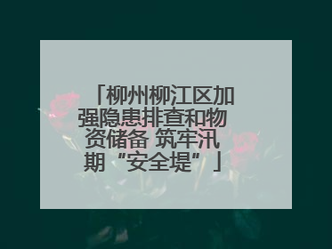 柳州柳江区加强隐患排查和物资储备 筑牢汛期“安全堤”