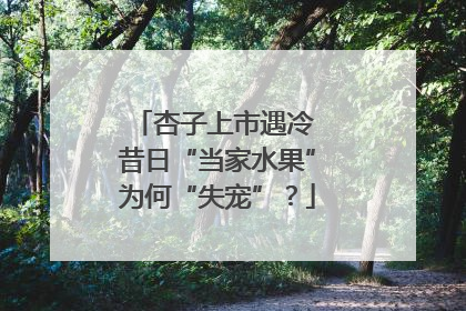 杏子上市遇冷 昔日“当家水果”为何“失宠”？
