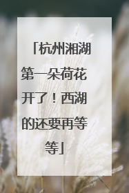 杭州湘湖第一朵荷花开了！西湖的还要再等等