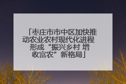 枣庄市市中区加快推动农业农村现代化进程 形成“振兴乡村 增收富农”新格局