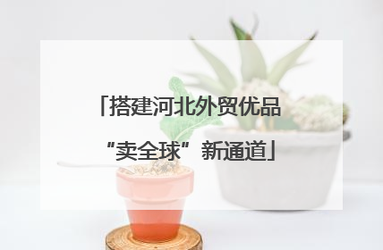 搭建河北外贸优品“卖全球”新通道