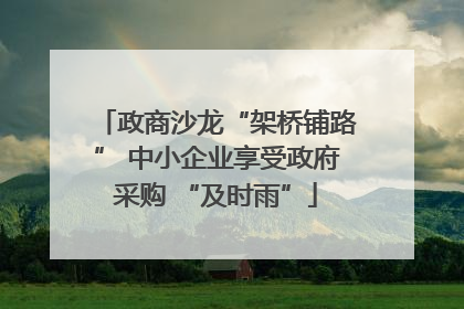 政商沙龙“架桥铺路” 中小企业享受政府采购 “及时雨”