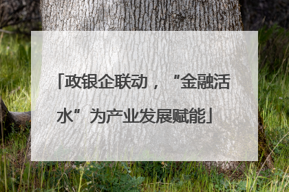 政银企联动，“金融活水”为产业发展赋能
